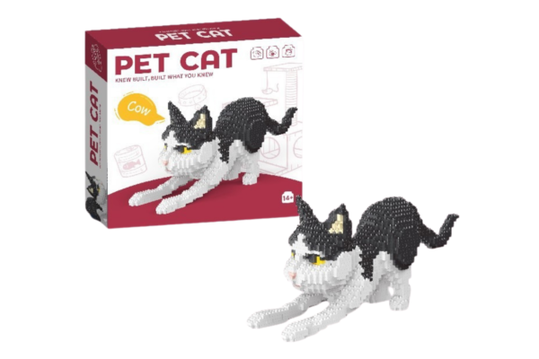 Autmatinis demonstravimas (7)